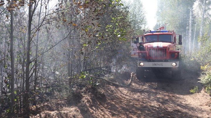 Около 100 км минерализованных полос проложено в Воротынском районе, чтобы остановить пожар
