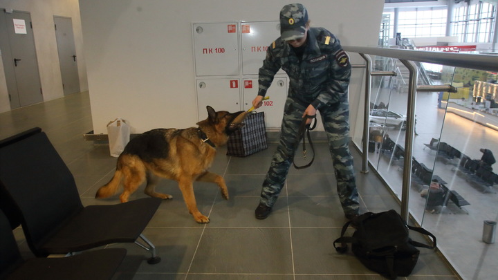 Сообщения о минировании в Ивановской области детсадов, школ, судов и вузов оказались ложными