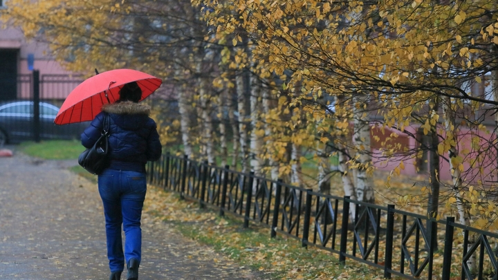 Погода в Санкт-Петербурге на понедельник, 26 октября