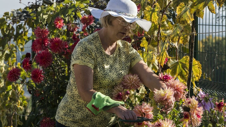Роскошно, уютно и просто: ТОП-5 секретов, как превратить заросший сад в цветник из кино