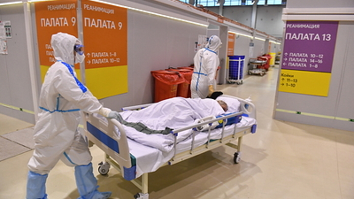Коронавирус найден в 29 районах Нижегородской области на 24 декабря