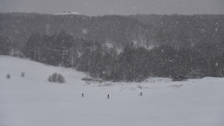 Народные приметы на 1 февраля: день памяти Макария Великого или Макар-весноуказчик