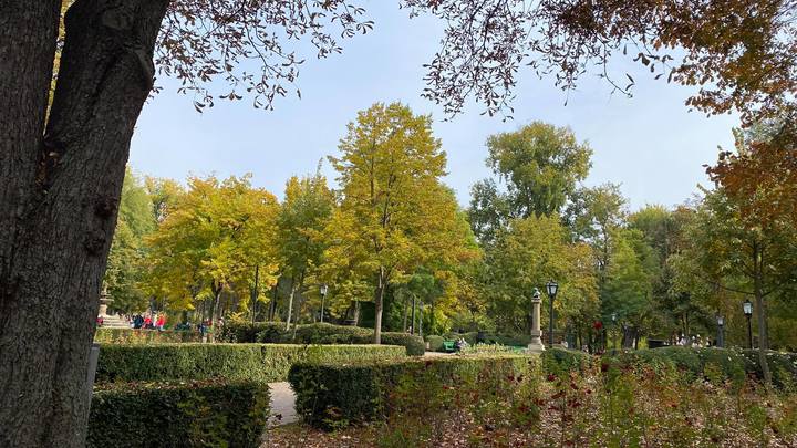 В Кишиневе отремонтируют сквер на Ботанике   