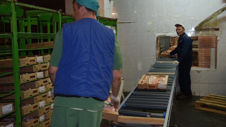 Птицефабрику в Самарской области добьет птичий грипп