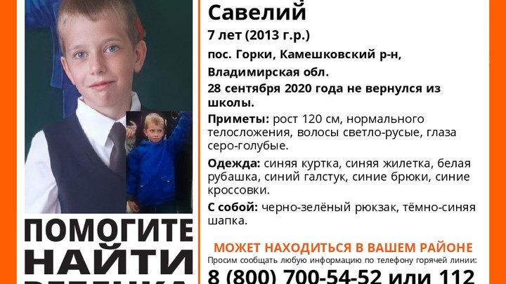 Владимирский отряд Лиза Алерт продолжает поиски Савелия Роговцева