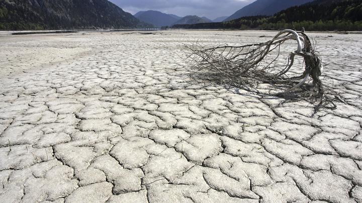 Учёные рассказали, когда потепление нагреет Землю на три градуса