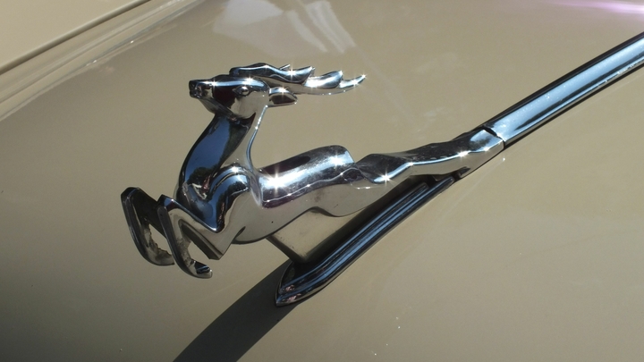 Путину предложили производить в Калуге автомобили «Волга»