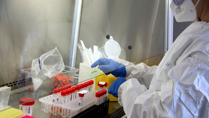 Не только США: Военные Германии на Украине изучали самые смертоносные штаммы лихорадки