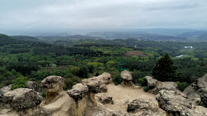 Сына президента ЦАР обвинили в нападении на девушку в Кисловодске