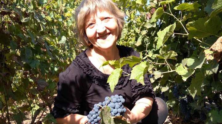 Каким будет урожай винограда в Молдове в этом году