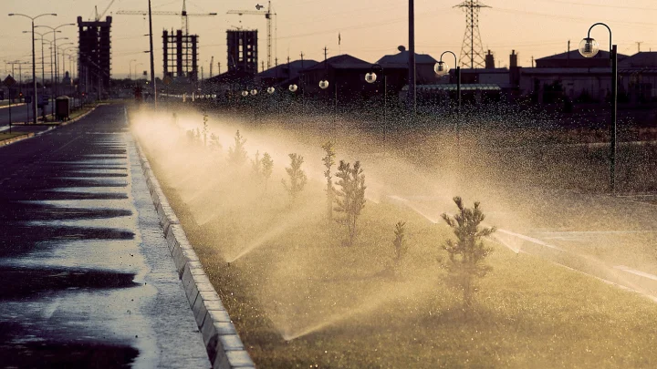 В Архангельской области посадили 600 тысяч деревьев, чтобы сохранить лес