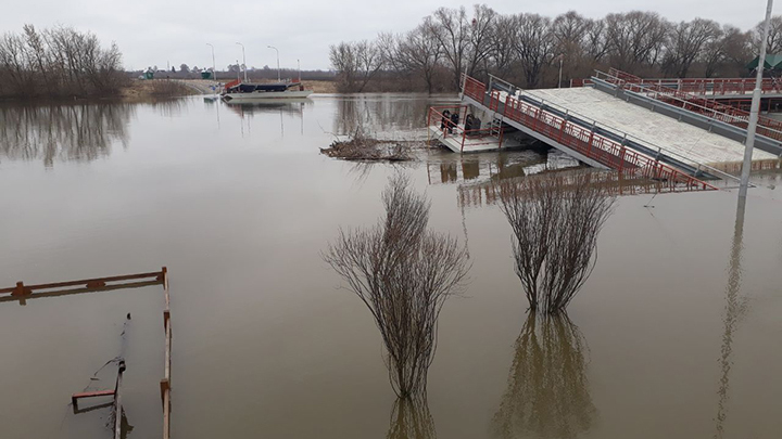 Вода в Подмосковье продолжает спадать