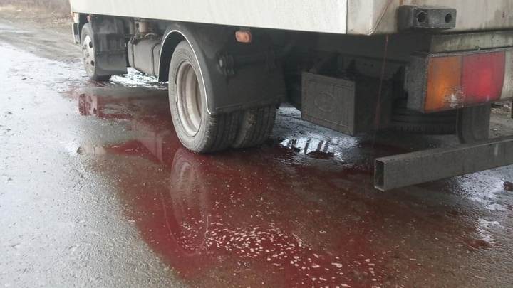 В Кургане полиция вычислила нарушителя по кровавому следу на асфальте