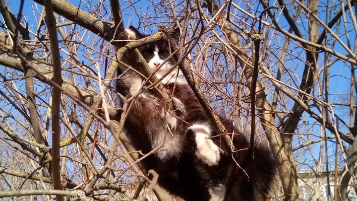 Погода в Ленинградской области на 10 июня 2022: +24 и переменная облачность