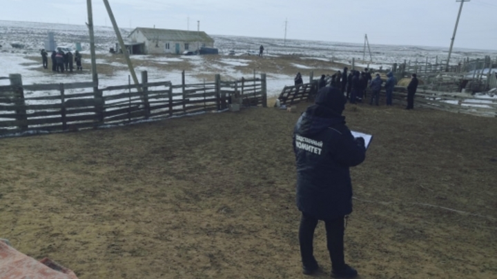 Жестокая расправа от гостя из Дагестана: Тела убитых бросили в загоне для скота
