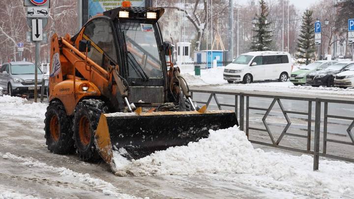 Недопосаженный депутатом Хинштейном Кедр-1 снова выиграл подряд на уборку Самары от снега