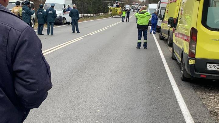 Четыре человека пострадали в ЧП с вертолётом санавиации в Нижегородской области