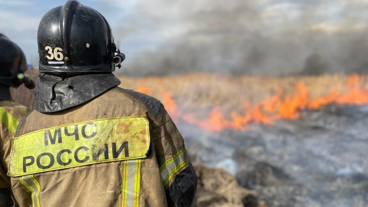 В Челябинске пожар разгорелся возле дачных участков на Северо-Востоке