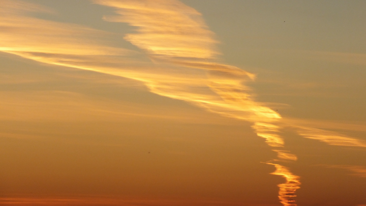 Ученый: инопланетные зонды уже в Солнечной системе