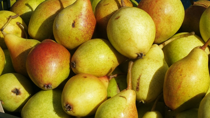 Ученые обнаружили, что груши укрепляют кости и снижают риск онкологии