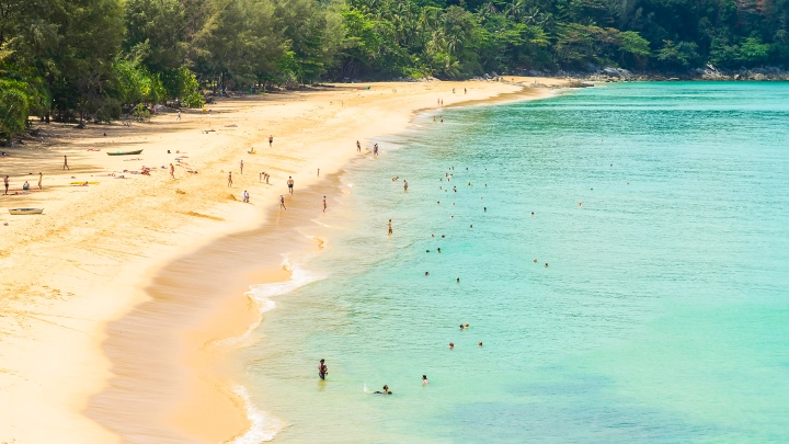 Опасное насекомое едва не стало причиной гибели русского туриста в Таиланде