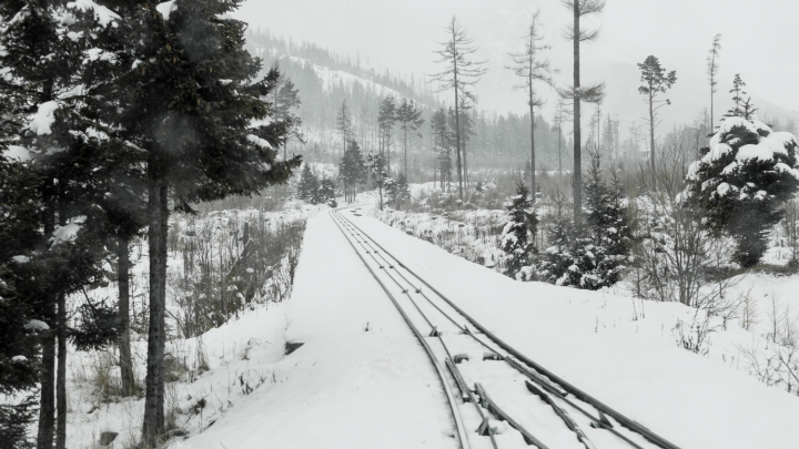 В Алтайском крае два пенсионера погибли в попавшей под грузовой поезд Хонде Фит