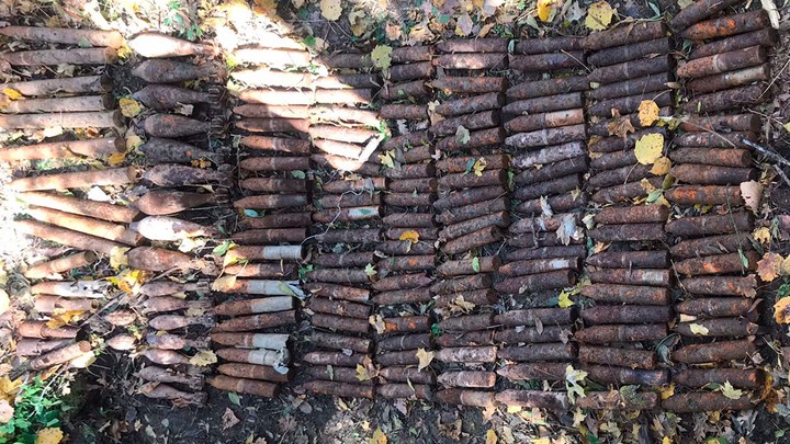 В Краснодарском крае грибник нашёл в лесу 170 боеприпасов времён ВОВ. Их уничтожили