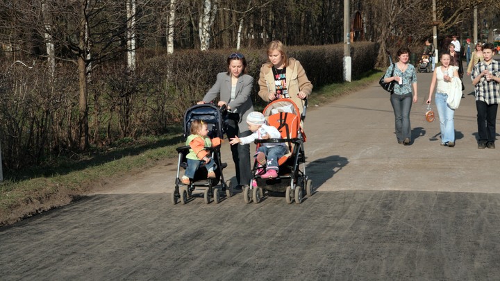 Я - русский! Какой восторг!: Холмогоров восхитился жителями России, голосующими за поправки в Конституцию