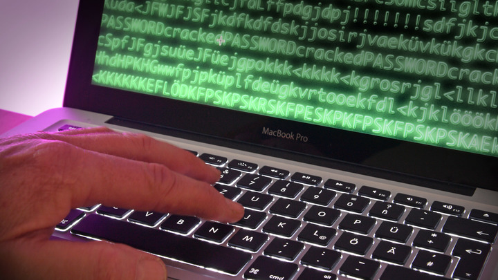 Казаки объявили охоту на мат в соцсетях: Кибердружина начала патрулирование интернета