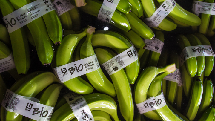 Эквадор загнал себя в ловушку: Русские готовят банановые санкции