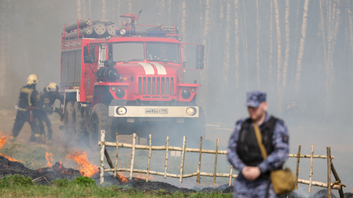 Дым от пожара окутал Балей: лес там горит около недели