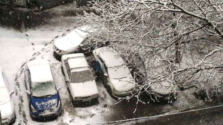 На Кубани объявили экстренное предупреждение из-за сильных снегопадов