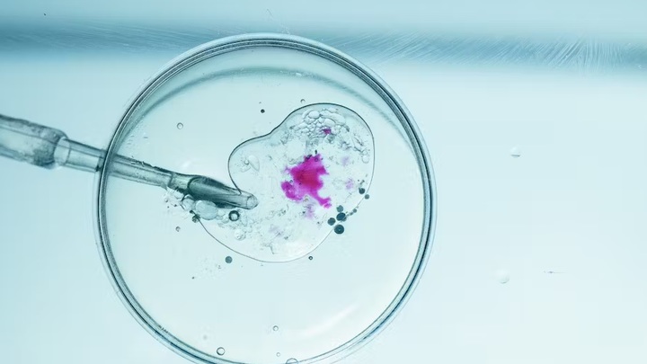 Южная Африка разрешила редактирование генома человека