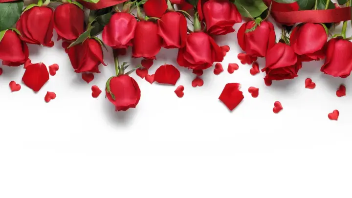 SHOT: рестораны Москвы стали брать до 45 тыс. рублей депозита на 14 февраля