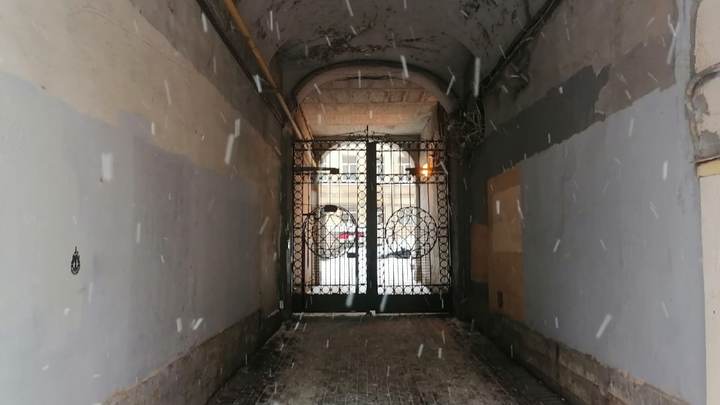 Погода в Санкт-Петербурге на 30 декабря 2022: снег перейдет в дождь