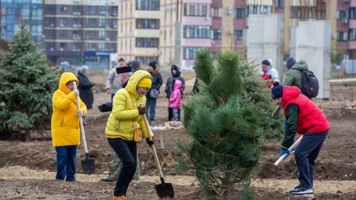 Более 100 деревьев высадили в Анапе в это воскресенье