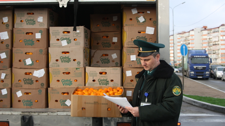 Новый год близко: почти 17 тыс. тонн мандаринов ввезли в Россию в октябре