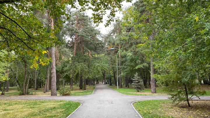 Уральцев ждут несколько дней теплого бабьего лета