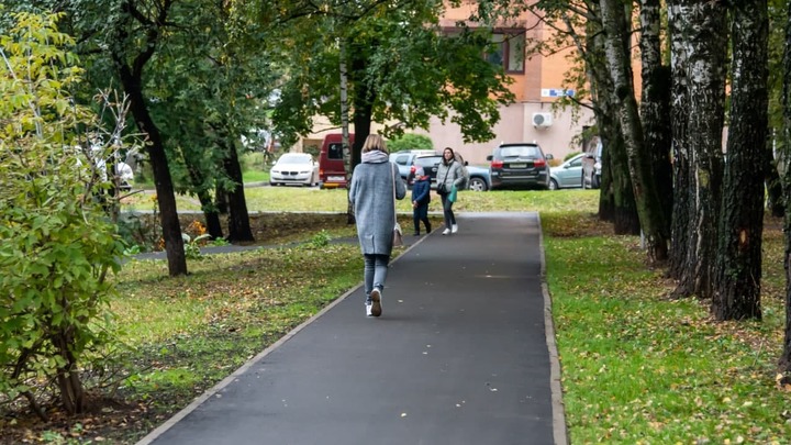 В Подмосковье заасфальтировали почти все народные тропы
