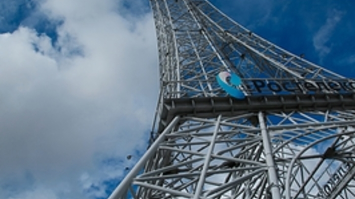 Крысиная столица: Турист из США показал наиболее заселённый грызунами город в ЕС