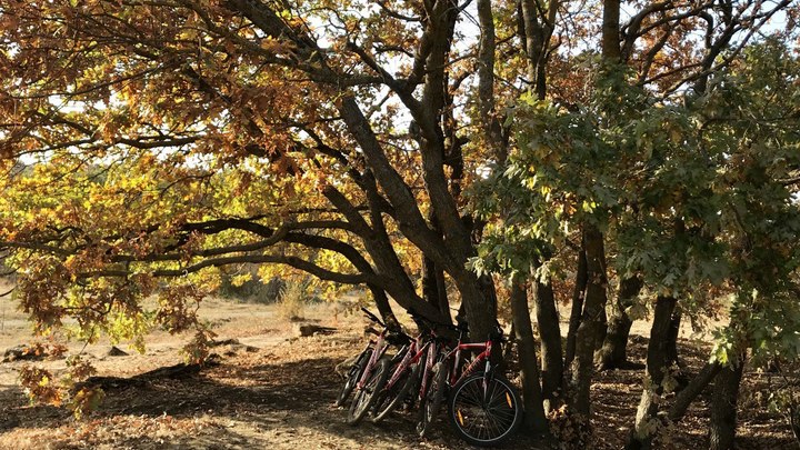 В последние дни лета на Кубань возвращается жара