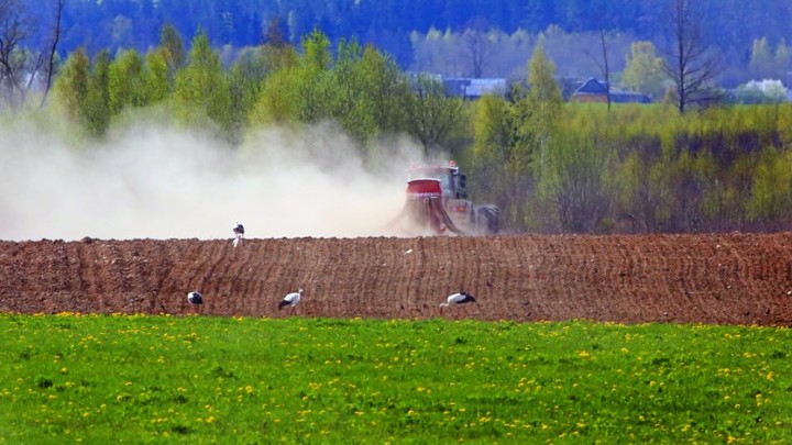 Белорусский постпред: Есть параллели между фашистской Германией и нынешним Западом
