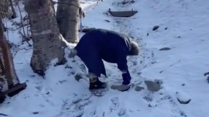 Пенсионерка ползла на четвереньках по льду, чтобы купить еду
