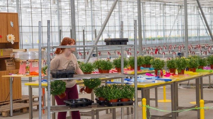 Запад задумался об отмене санкций на удобрения. Политолог Баширов: опять в Россию потекут деньги