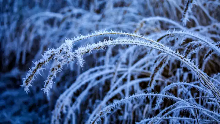 Синоптик Вильфанд предупредил о грядущих морозах в центре России
