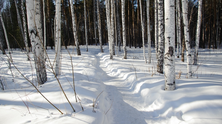 Поиски пропавшего в Екатеринбурге 11-летнего школьника прекращены