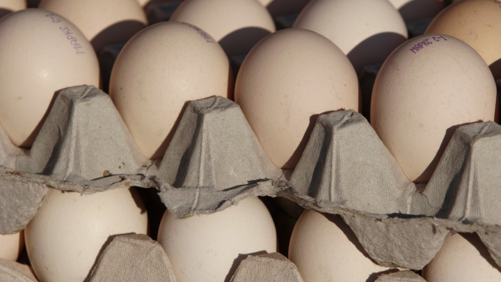 Бляшки в сосудах растут как на дрожжах: Врач назвала четыре вредных продукта для сердца