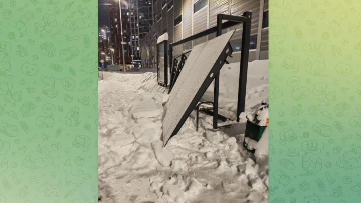 В Мытищах крыша автобусной остановки под тяжестью снега обрушилась на девушку