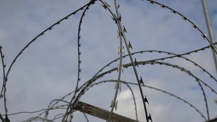 Азовцы* в Еленовке - не первые жертвы ВСУ: Было ещё одно расстрелянное СИЗО