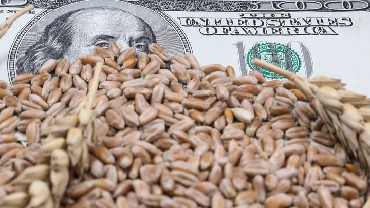 Переговоры, о которых все молчат: От России ждут запуска зерновой сделки